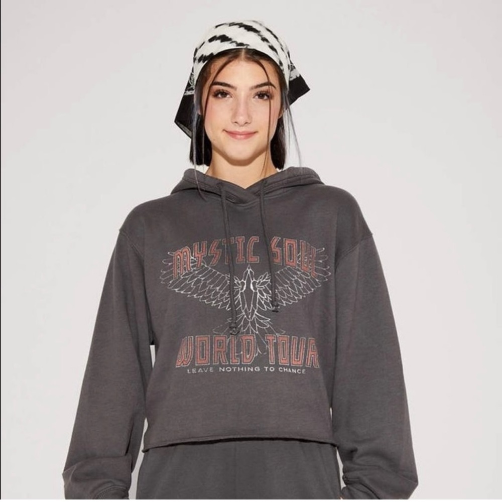 Hollister Cropped Hoodie— Mystic Soul